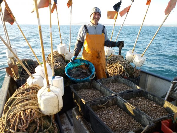 Transnational common unit on seafood branding