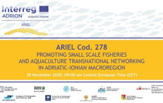 ARIEL FINAL CONFERENCE HELD ON-LINE!