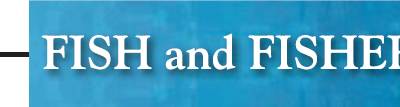 Small-scale fisheries and local food systems: Transformations, threats and opportunities