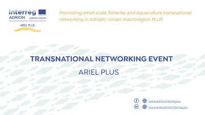 ARIEL PLUS – Transnational networking event